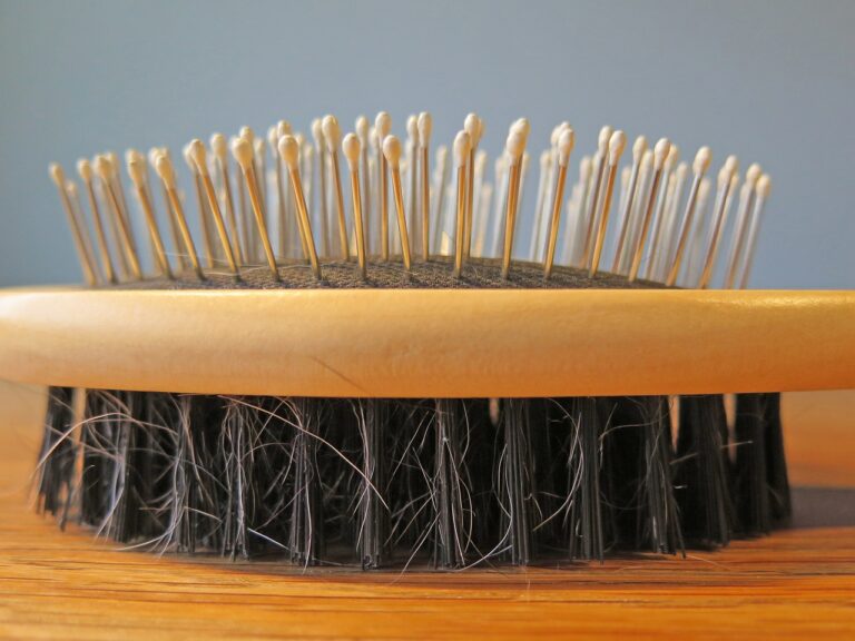 Mode et beauté : importance du nettoyage régulier de votre brosse à cheveux